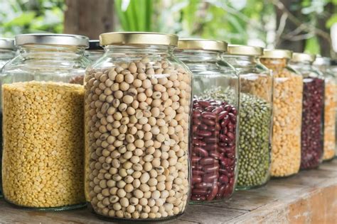 Storing seeds. Things To Know About Storing seeds. 